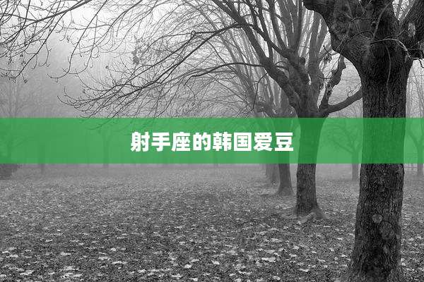 射手座的韩国爱豆