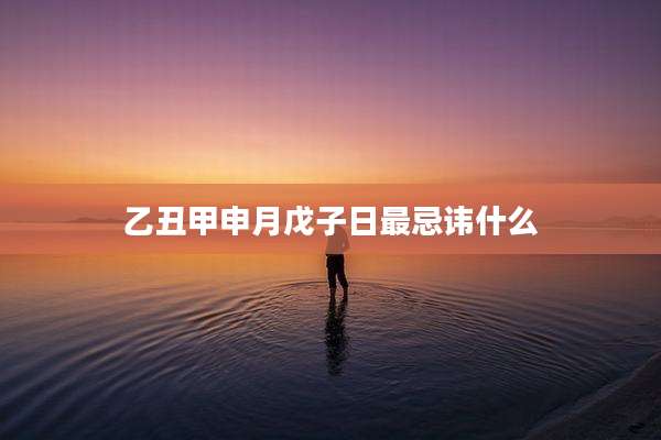 乙丑甲申月戊子日最忌讳什么
