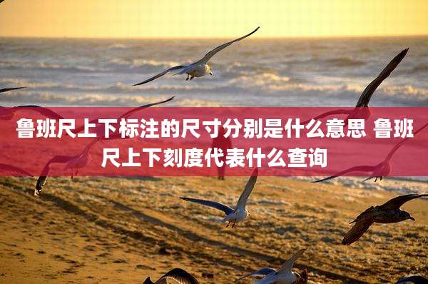 鲁班尺上下标注的尺寸分别是什么意思 鲁班尺上下刻度代表什么查询