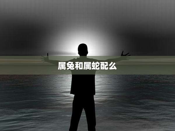 属兔和属蛇配么
