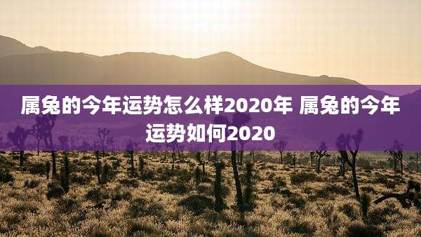 属兔的今年运势怎么样2020年 属兔的今年运势如何2020