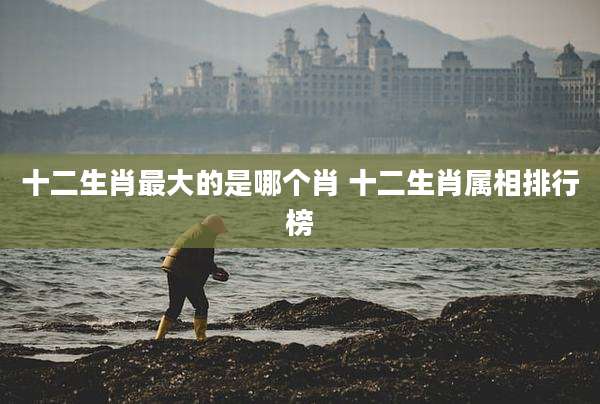 十二生肖最大的是哪个肖 十二生肖属相排行榜