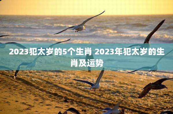 2023犯太岁的5个生肖 2023年犯太岁的生肖及运势