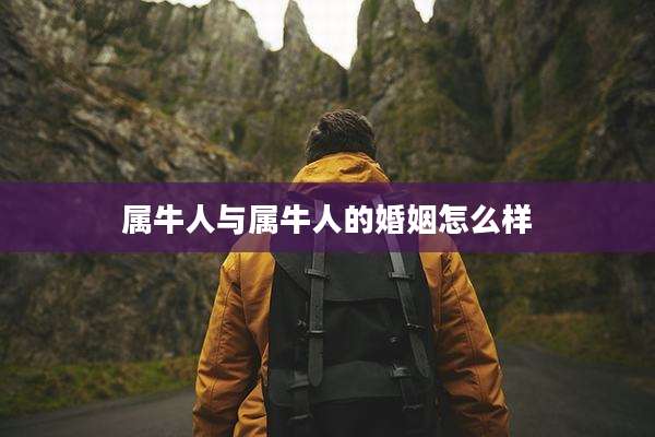 属牛人与属牛人的婚姻怎么样