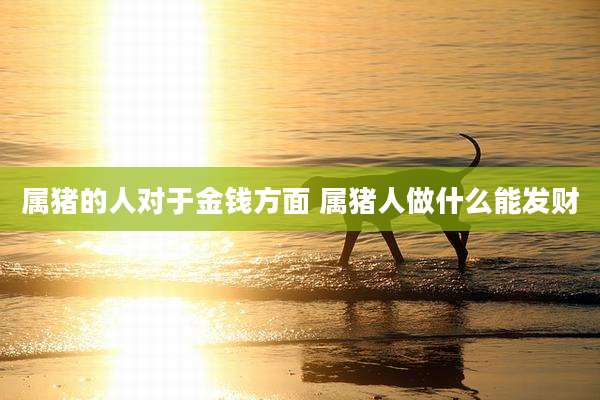 属猪的人对于金钱方面 属猪人做什么能发财