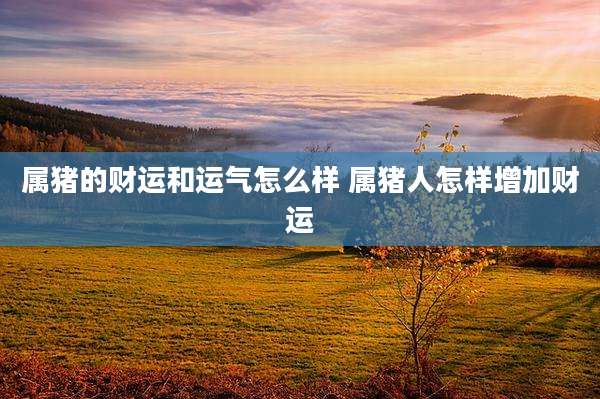 属猪的财运和运气怎么样 属猪人怎样增加财运