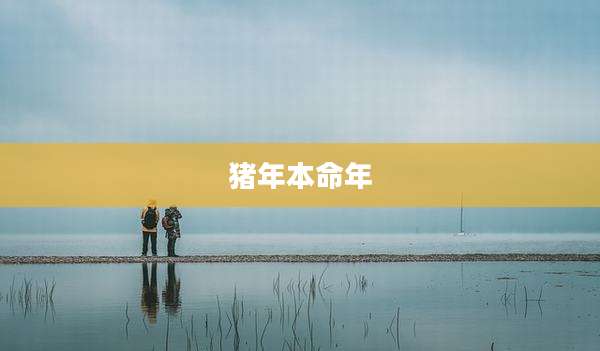 猪年本命年