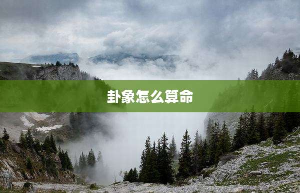 卦象怎么算命
