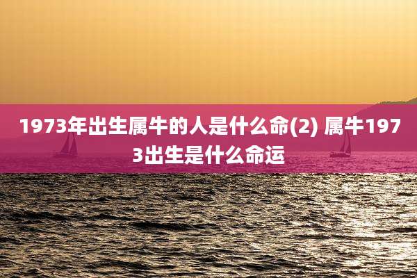 1973年出生属牛的人是什么命(2) 属牛1973出生是什么命运