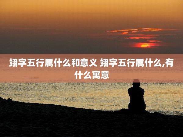 翊字五行属什么和意义 翊字五行属什么,有什么寓意