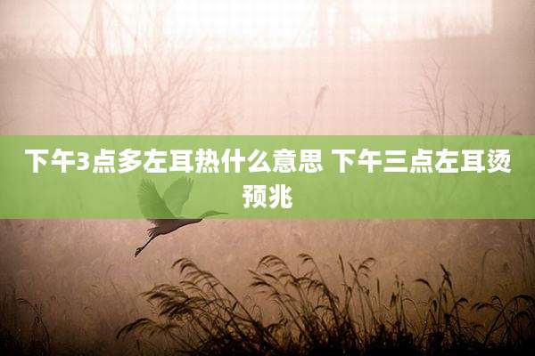 下午3点多左耳热什么意思 下午三点左耳烫预兆