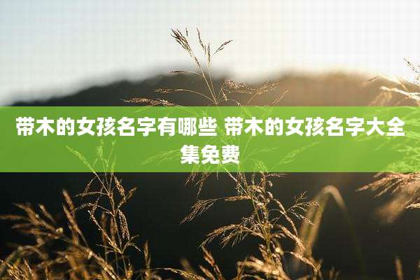带木的女孩名字有哪些 带木的女孩名字大全集免费