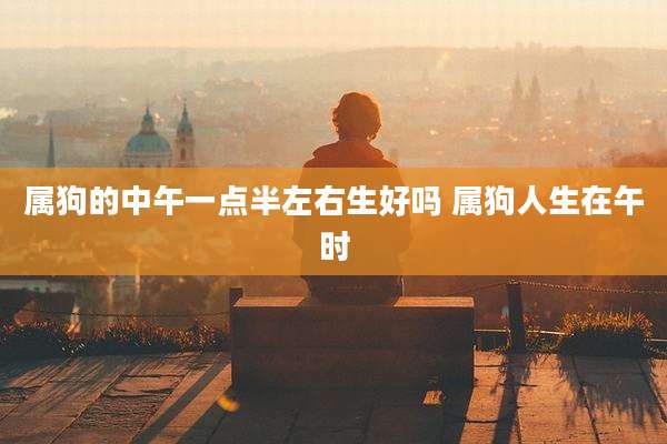 属狗的中午一点半左右生好吗 属狗人生在午时