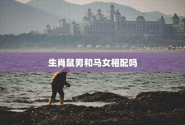 生肖鼠男和马女相配吗