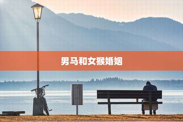 男马和女猴婚姻