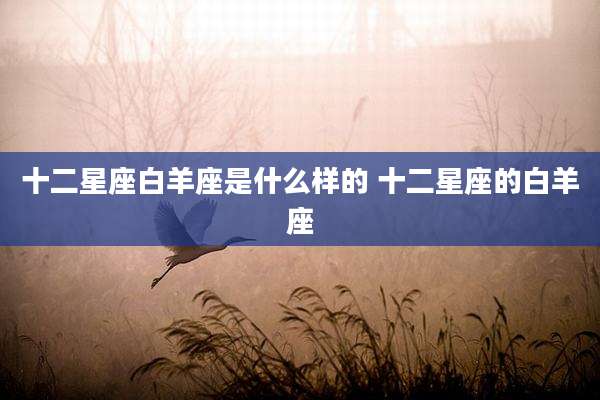 十二星座白羊座是什么样的 十二星座的白羊座