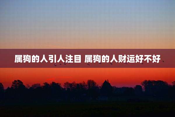 属狗的人引人注目 属狗的人财运好不好
