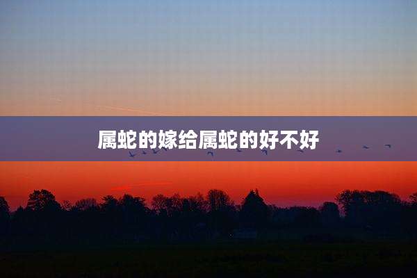 属蛇的嫁给属蛇的好不好