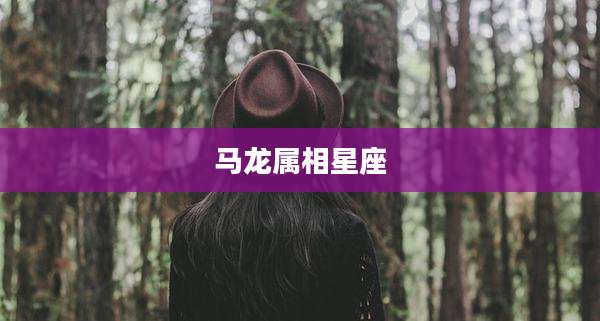 马龙属相星座