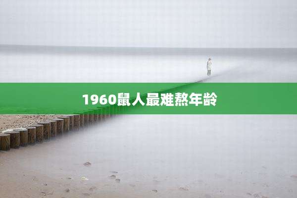 1960鼠人最难熬年龄