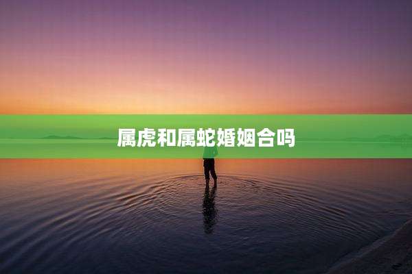 属虎和属蛇婚姻合吗
