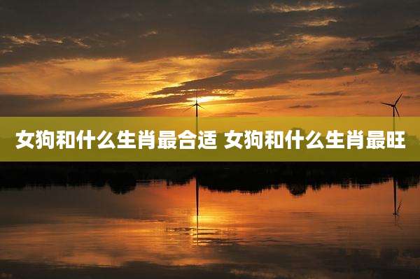 女狗和什么生肖最合适 女狗和什么生肖最旺