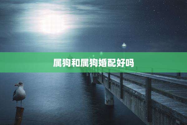 属狗和属狗婚配好吗