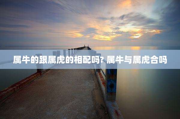 属牛的跟属虎的相配吗? 属牛与属虎合吗