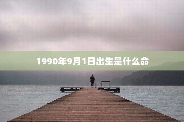 1990年9月1日出生是什么命