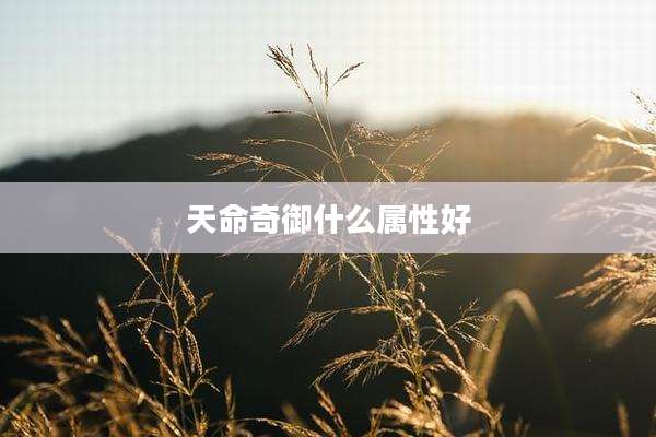 天命奇御什么属性好