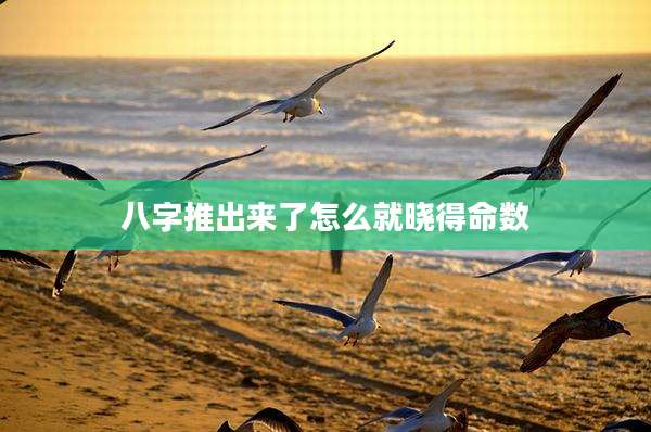 八字推出来了怎么就晓得命数