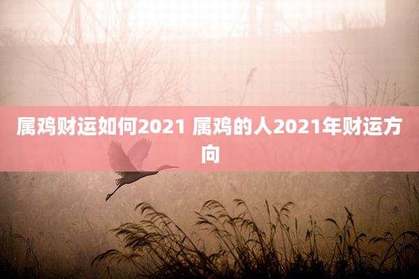 属鸡财运如何2021 属鸡的人2021年财运方向