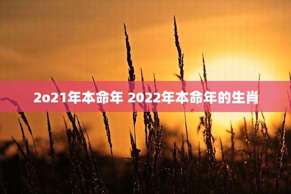 2o21年本命年 2022年本命年的生肖