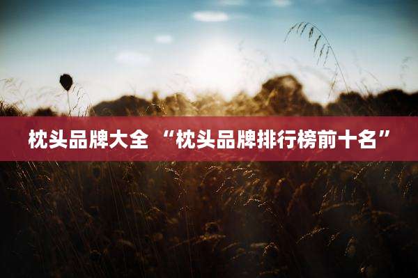 枕头品牌大全 “枕头品牌排行榜前十名”