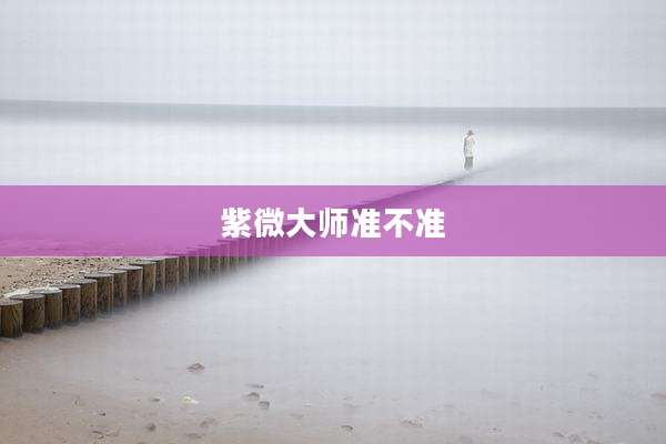 紫微大师准不准