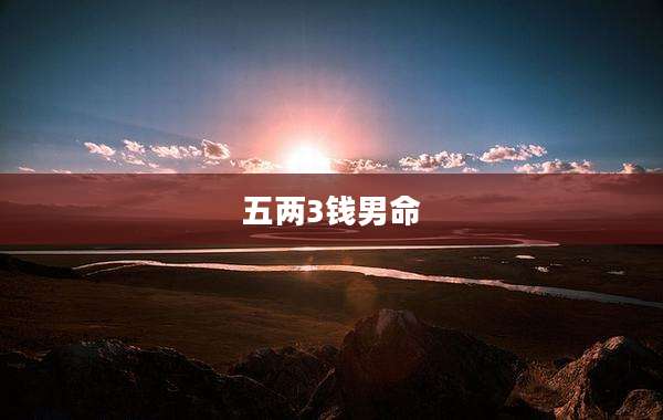 五两3钱男命