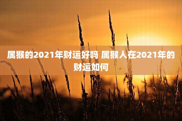 属猴的2021年财运好吗 属猴人在2021年的财运如何
