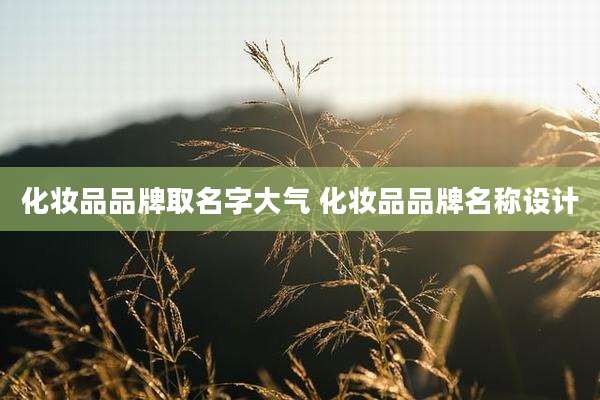 化妆品品牌取名字大气 化妆品品牌名称设计