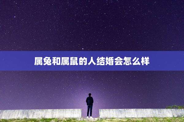 属兔和属鼠的人结婚会怎么样