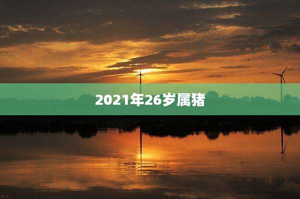 2021年26岁属猪