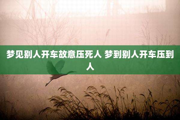 梦见别人开车故意压死人 梦到别人开车压到人