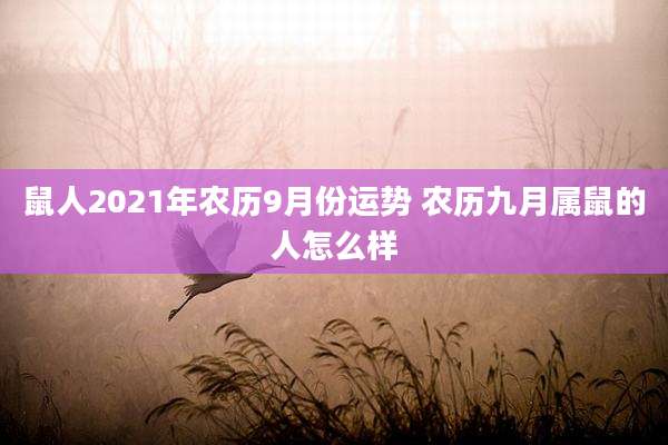鼠人2021年农历9月份运势 农历九月属鼠的人怎么样