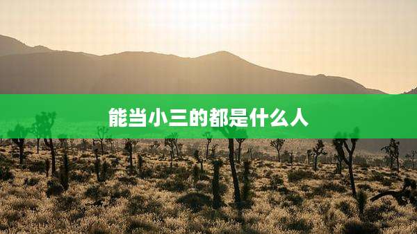 能当小三的都是什么人