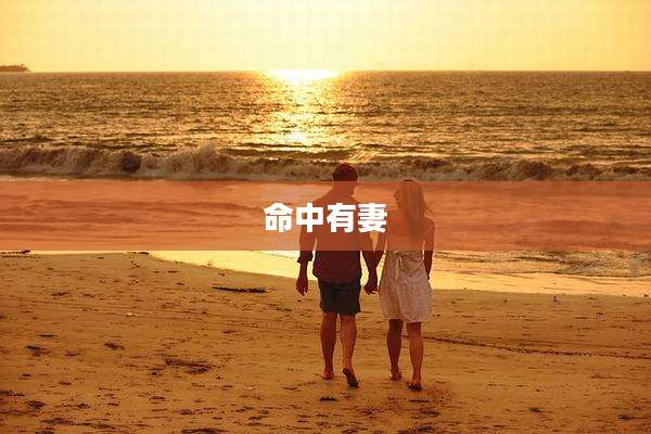 命中有妻