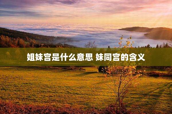 姐妹宫是什么意思 妹同宫的含义
