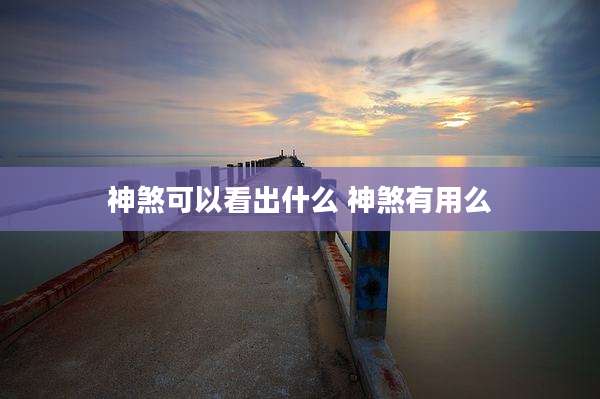 神煞可以看出什么 神煞有用么