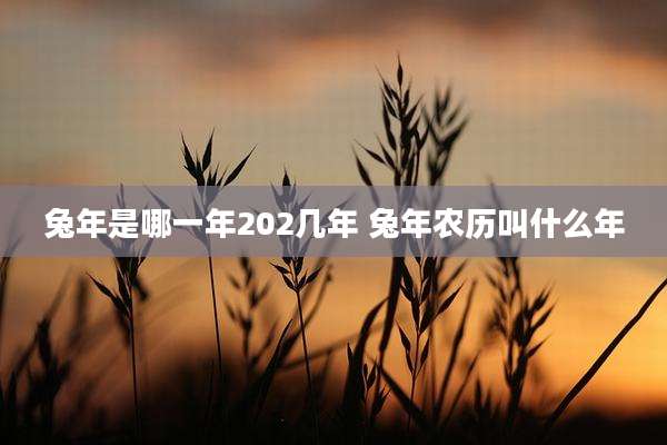 兔年是哪一年202几年 兔年农历叫什么年