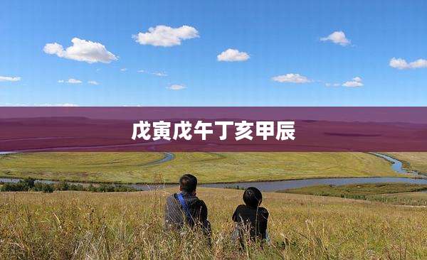 戊寅戊午丁亥甲辰
