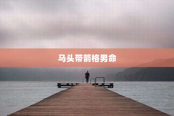 马头带箭格男命