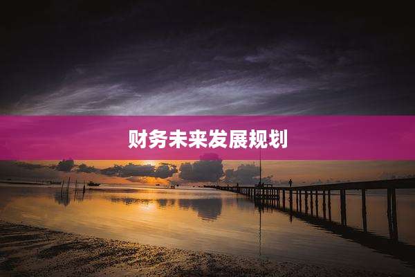 财务未来发展规划